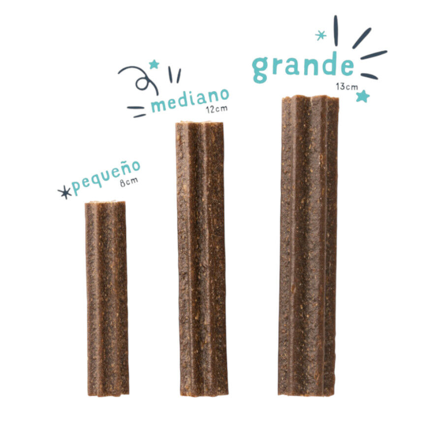 7 sticks Edgard y Cooper Snacks Dent&aacute;rios Adult Large Ma&ccedil;&atilde; e Eucalipto para c&atilde;es, , large Imagem n&uacute;mero 3