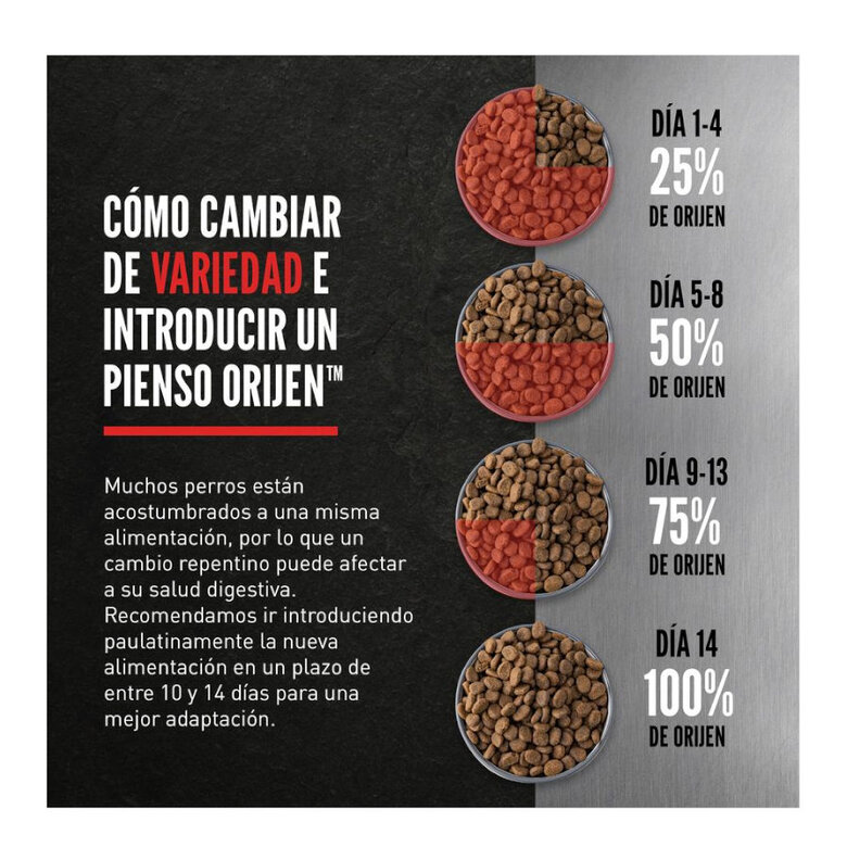 11 kg Orijen Puppy ração para cães,  Imagem número 5 11 kg Orijen Puppy ração para cães, , large Imagem número 5