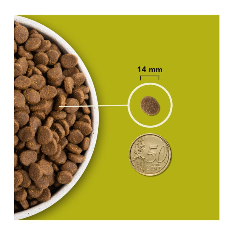 11.4 kg Acana Grasslands Ração para cães,  Imagem número 7 11.4 kg Acana Grasslands Ração para cães, , large Imagem número 7