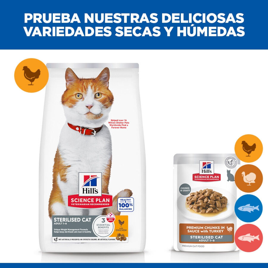 85 g Hill's Science Plan Sterilised Young Adult Peru em Molho saquetas para gatos, , large Imagem n&uacute;mero 6