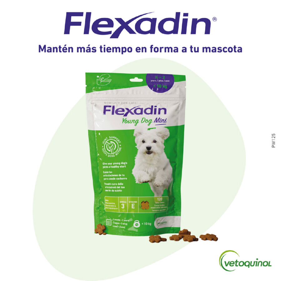 Vetoquinol Flexadin Young Mini Condroprotetor para c&atilde;es, , large Imagem n&uacute;mero 1