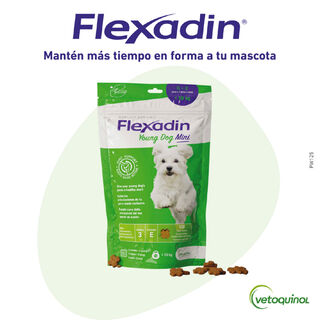 Vetoquinol Flexadin Young Mini Condroprotetor para cães