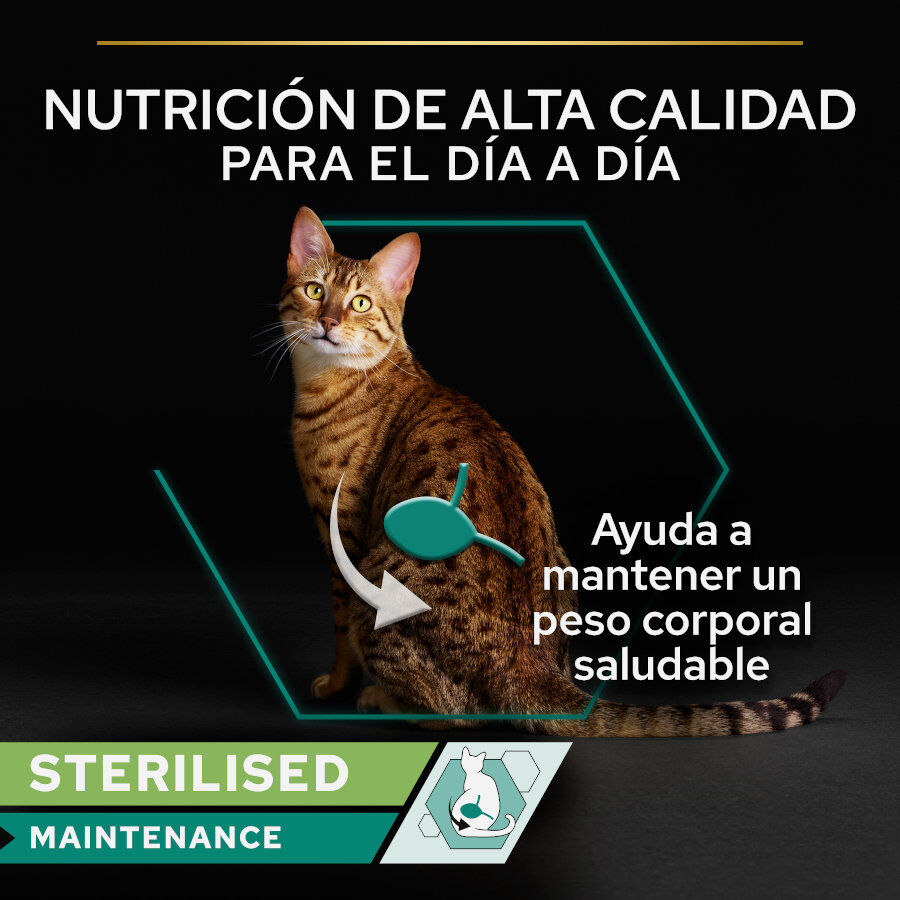 12 latas x 85 g Pro Plan Adult Sterilised Maintenance Alimento h&uacute;mido de salm&atilde;o e atum em lata para gatos, , large Imagem n&uacute;mero 3