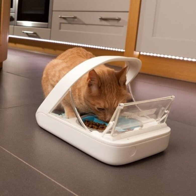 Sure Petcare Surefeed Comedouro Automático com Microchip,  Imagem número 3 Sure Petcare Surefeed Comedouro Automático com Microchip, , large Imagem número 3
