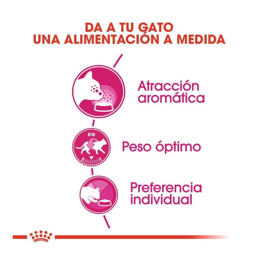 0.4 kg Royal Canin Adult Exigent Aroma ra&ccedil;&atilde;o para gatos, , large Imagem n&uacute;mero 4
