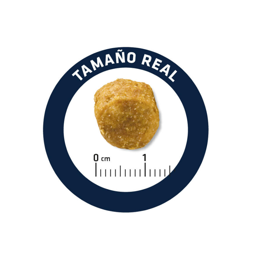 2 x 12 kg Advance Urinary Low Purine ra&ccedil;&atilde;o para c&atilde;es Pack poupan&ccedil;a!, , large Imagem n&uacute;mero 5