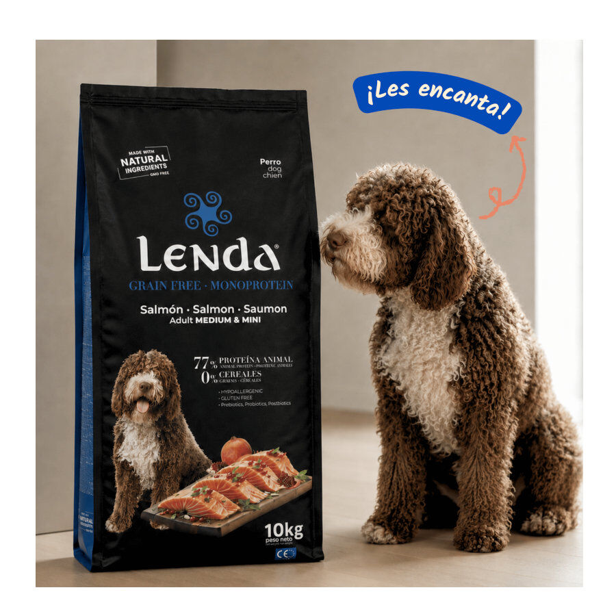 2 Kg Lenda Grain Free Ra&ccedil;&atilde;o de Salm&atilde;o para c&atilde;es, , large Imagem n&uacute;mero 3
