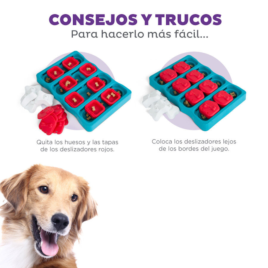 Outward Hound Nina Ottosson Brick Puzzle para c&atilde;es, , large Imagem n&uacute;mero 6