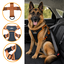 Outech X-perience Arn&ecirc;s de Carro para c&atilde;es, , large Indicador imagem n&uacute;mero 3