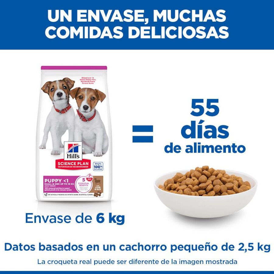 6 kg Hill's Science Plan Puppy Small & Mini Ra&ccedil;&atilde;o de cordeiro e arroz para c&atilde;es, , large Imagem n&uacute;mero 6