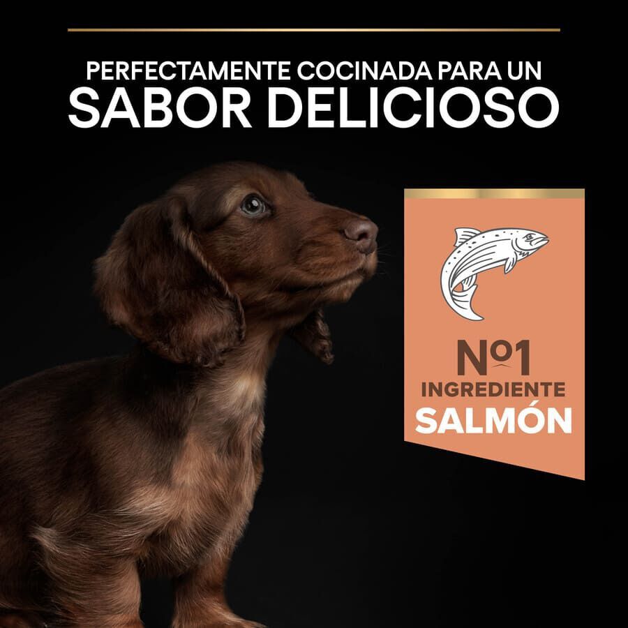 3 kg Pro Plan Puppy Small & Mini OptiDerma Salm&atilde;o ra&ccedil;&atilde;o, , large Imagem n&uacute;mero 7