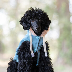 Freedog Iceguard Capa de Chuva Azul-marinho para cães