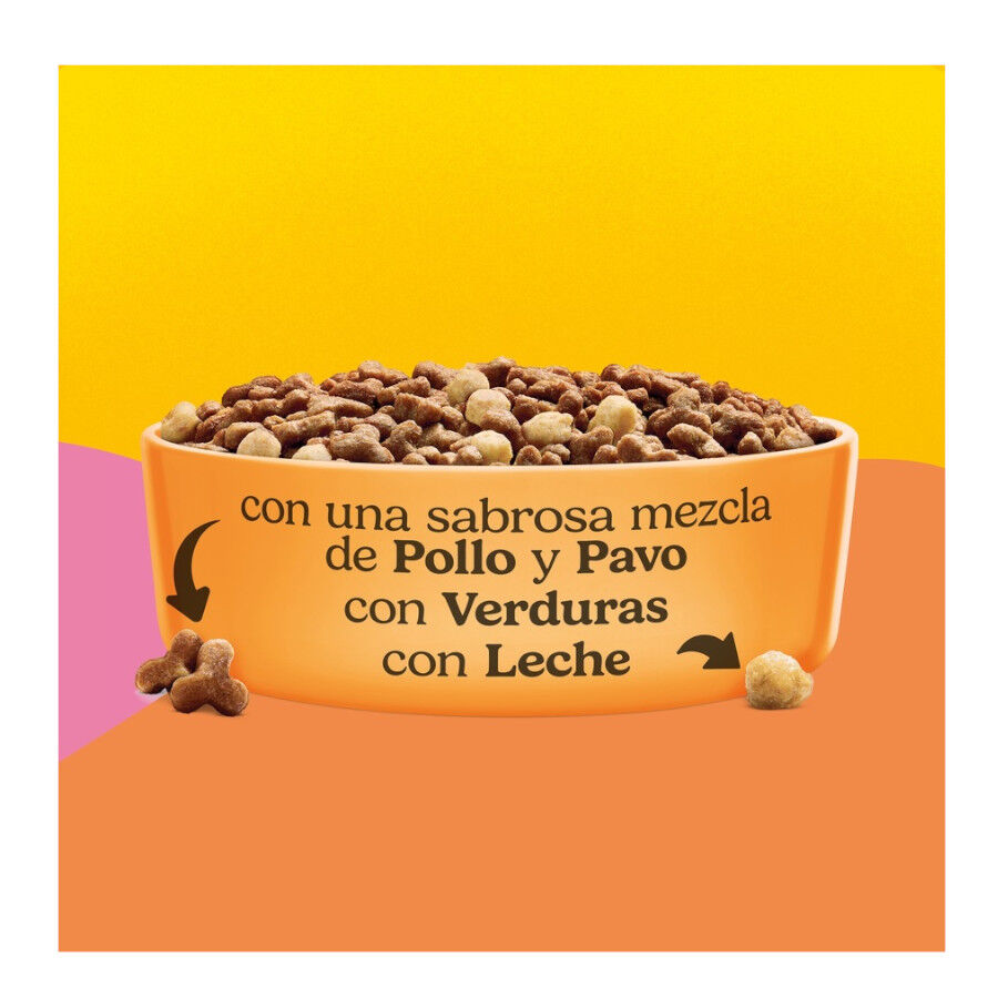 1.5 kg Friskies Junior Ra&ccedil;&atilde;o para gatos , , large Imagem n&uacute;mero 4