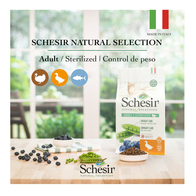 Schesir Natural Selection Sterilized Atum alimento para gatos, , large image number null