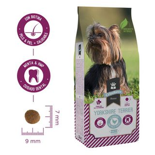 Criadores Raça Yorkshire Terrier ração para cães