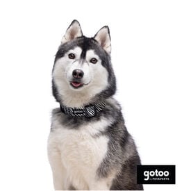 Gotoo Coleira estampada zebra para cães