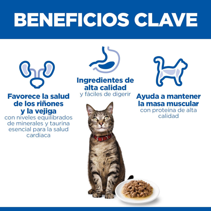 85 g Hill's Science Plan Adult Peixe saqueta para gatos, , large Imagem n&uacute;mero 5