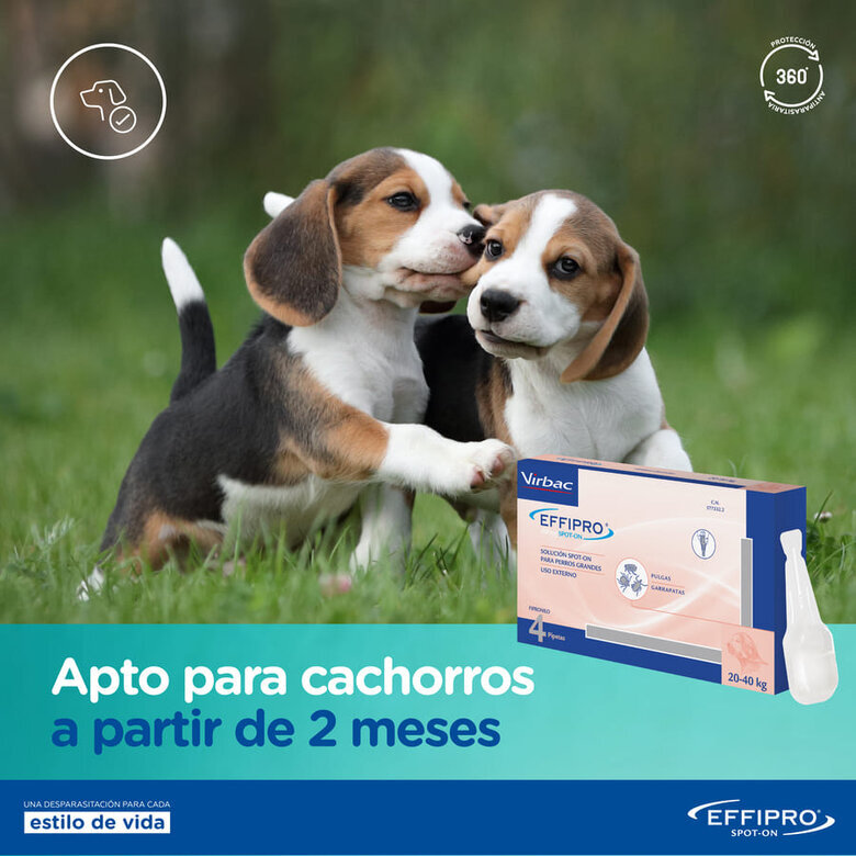 Virbac Effipro 20-40 kg Pipetas Antiparasitárias para cães,  Imagem número 3 Virbac Effipro 20-40 kg Pipetas Antiparasitárias para cães, , large Imagem número 3