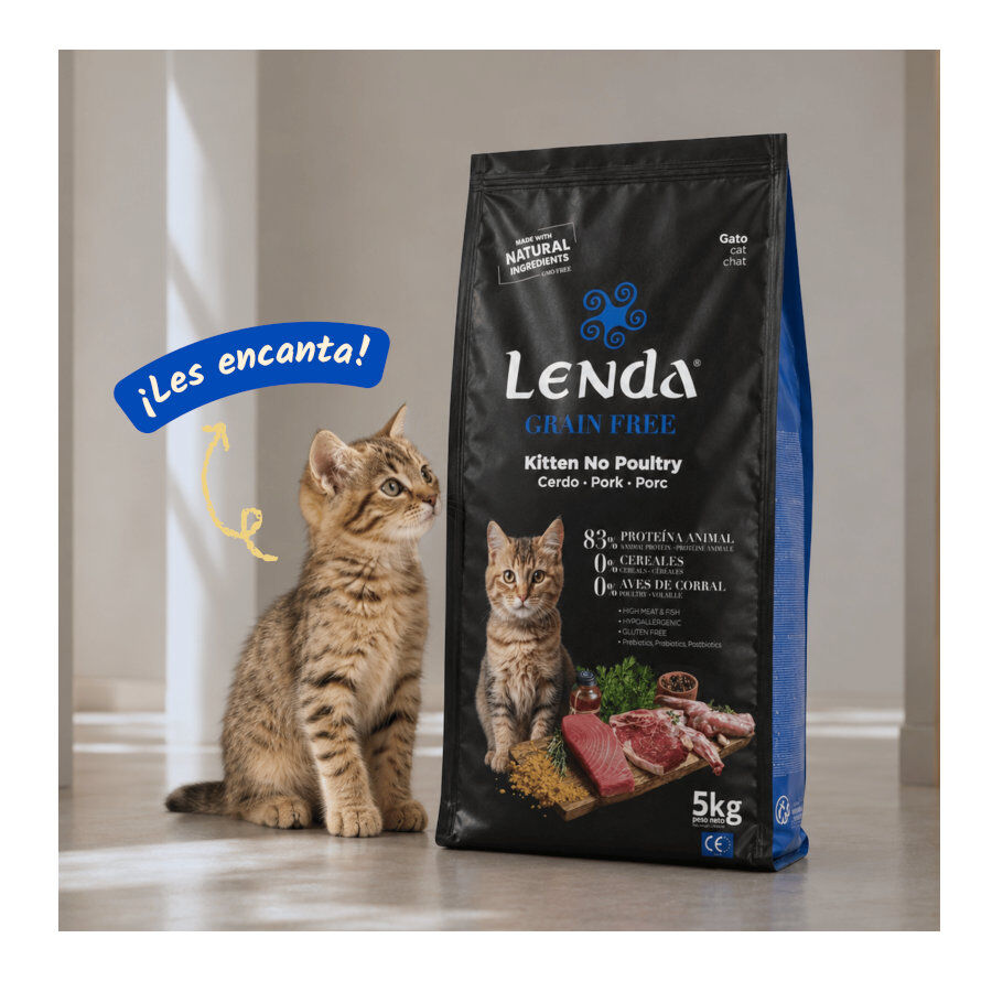 2 Kg Lenda Grain Free Kitten Ra&ccedil;&atilde;o de Coelho, Porco e Atum para gatos, , large Imagem n&uacute;mero 5