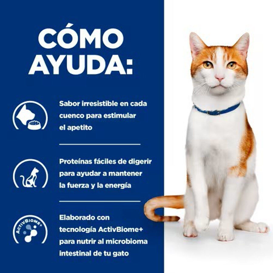 1.5 kg Hill's Prescription Diet ON-Care Frango ra&ccedil;&atilde;o para gatos, , large Imagem n&uacute;mero 2