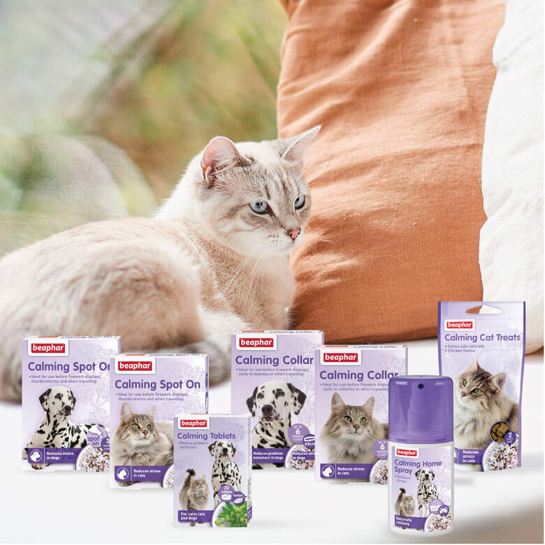 Beaphar Calming coleira relaxante para gatos, , large image number null