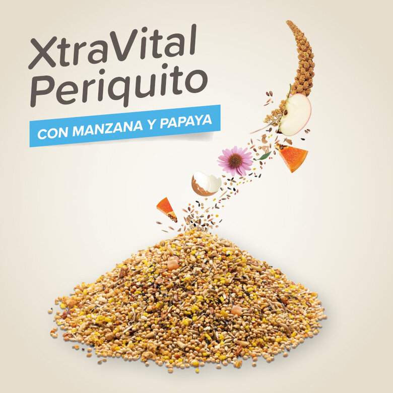 Mistura de sementes Beaphar XtraVital Premium para periquitos,  Imagem número 3 Mistura de sementes Beaphar XtraVital Premium para periquitos, , large Imagem número 3