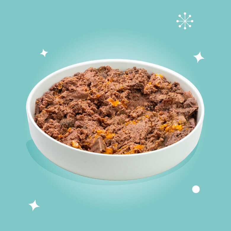 Edgar & Cooper Festive Carne de Peru em Patê terrina para cães , , large image number null
