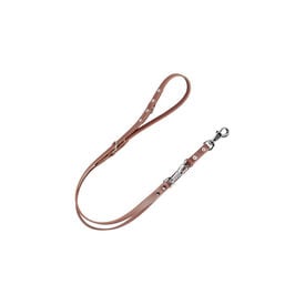 Arppe Coleira de Treino para cães