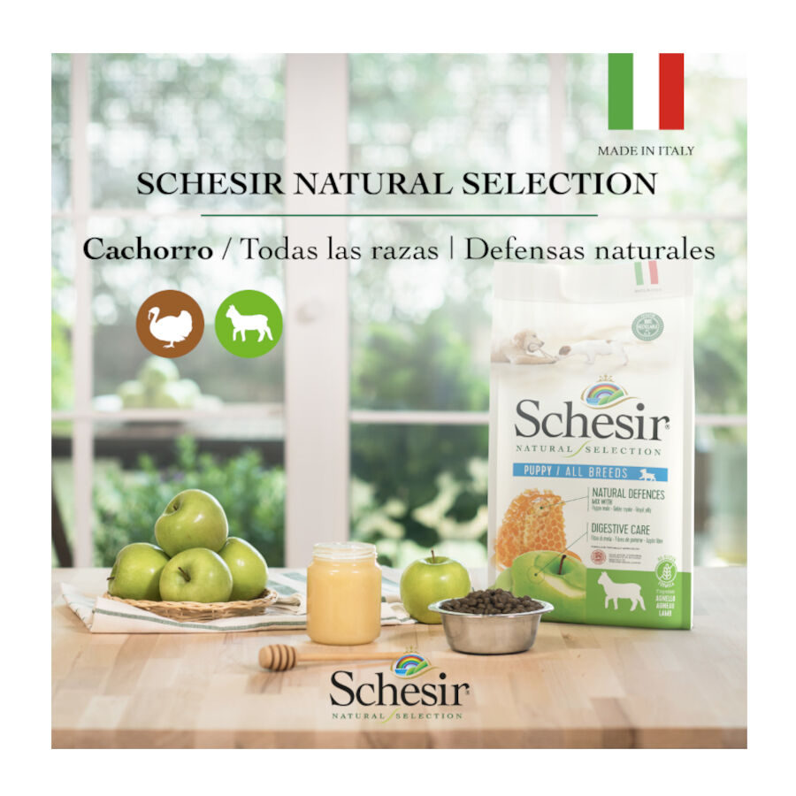 2.24 kg Schesir Puppy Natural Selection Cordeiro ra&ccedil;&atilde;o , , large Imagem n&uacute;mero 4