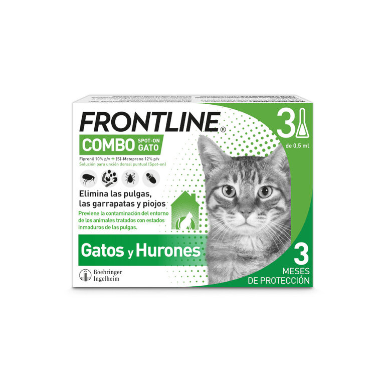 Frontline Combo pipetas antiparasitárias para gatos e furões,  Imagem número 1 Frontline Combo pipetas antiparasitárias para gatos e furões, , large Imagem número 1
