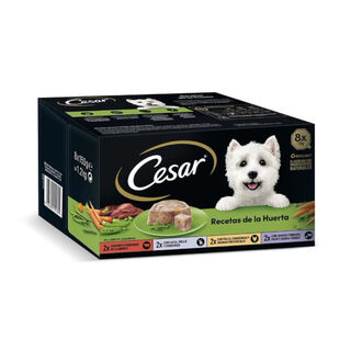 Cesar Recetas da horta Terrina em Patê e Geleia para Cães - Multipack