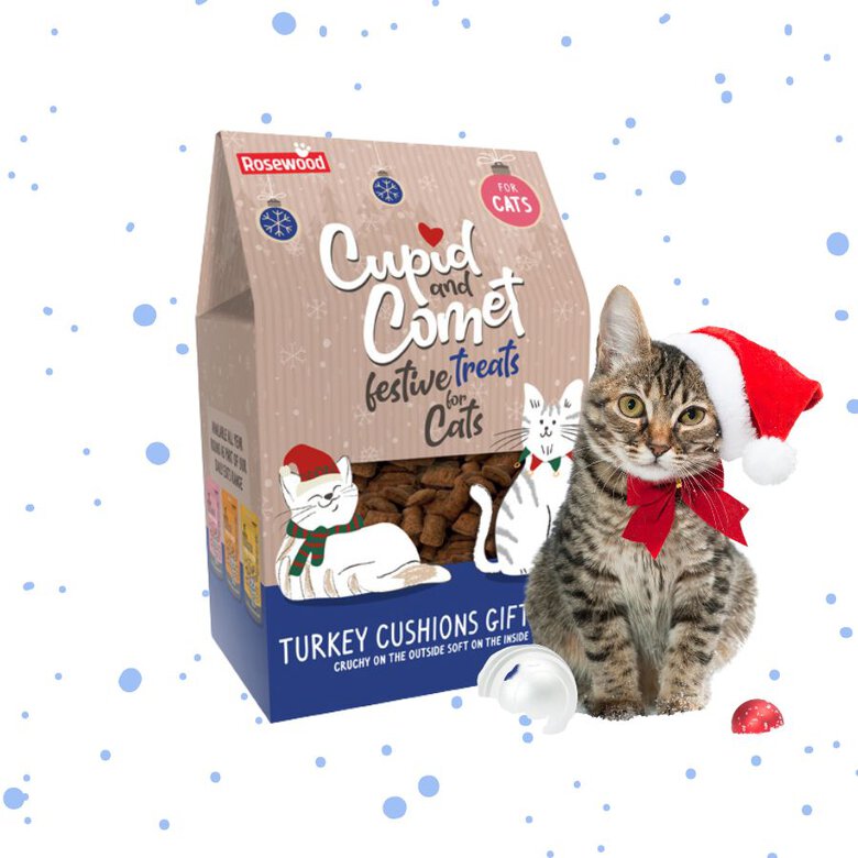 180 g Rosewood Cupid & Comet Biscoitos de peru para gatos,  Imagem número 2 180 g Rosewood Cupid & Comet Biscoitos de peru para gatos, , large Imagem número 2