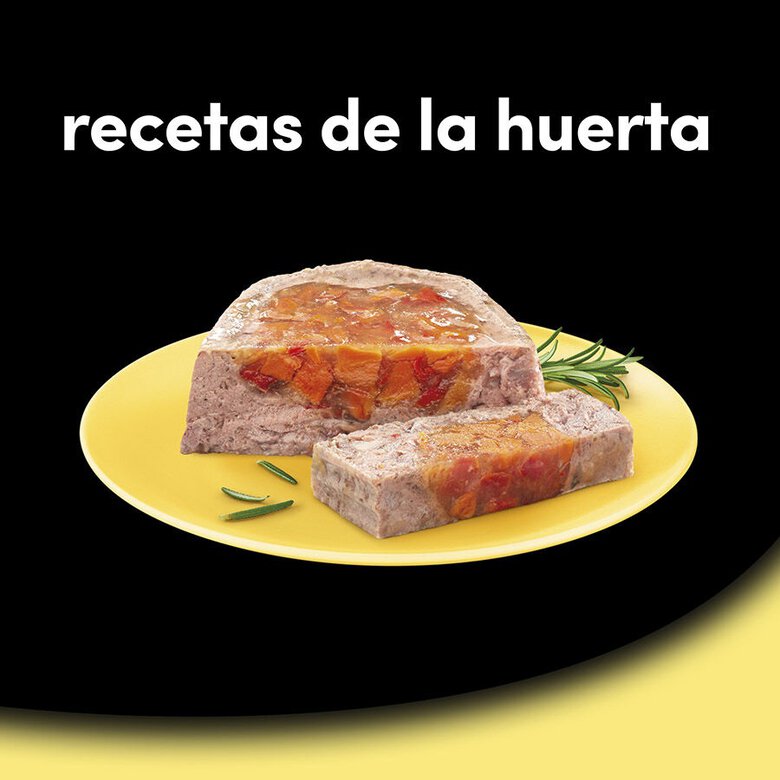 150 g Cesar Recetas da horta terrina em patê para cães,  Imagem número 6 150 g Cesar Recetas da horta terrina em patê para cães, , large Imagem número 6