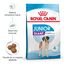 15 kg Royal Canin Junior Giant ração para cães, , large Indicador imagem número 2