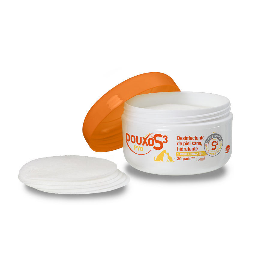 Douxo Pya Algod&atilde;o Desinfetante para c&atilde;es e gatos , , large Imagem n&uacute;mero 1