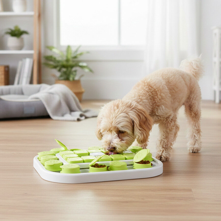 All For Paws Interactives Brinquedo interativo Sokudo para c&atilde;es, , large Imagem n&uacute;mero 3