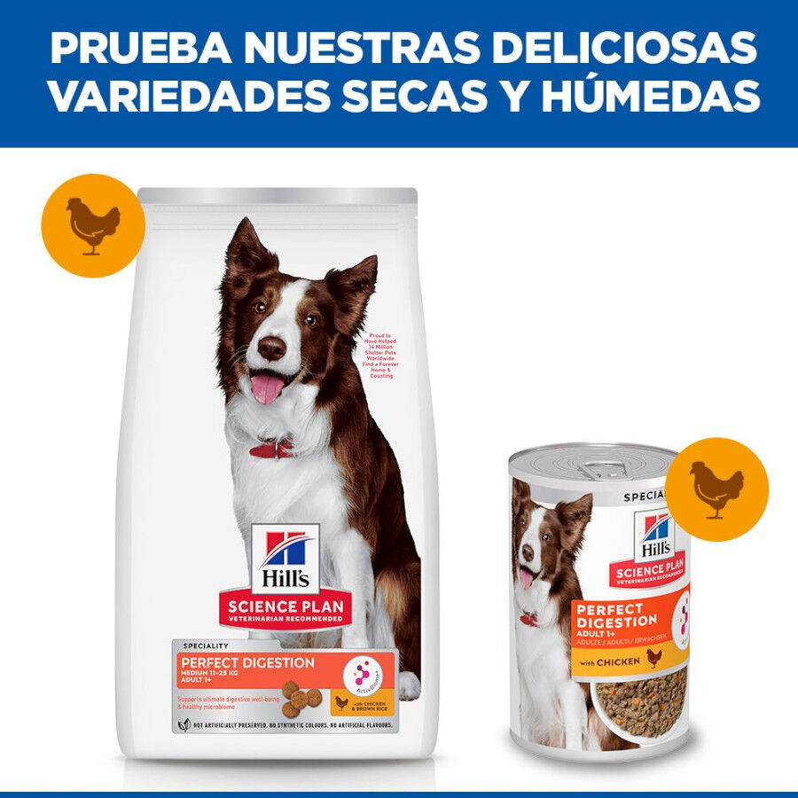 14 kg Hill'sScience Plan Perfect Digestion Medium Adult Ra&ccedil;&atilde;o de frango para c&atilde;es, , large Imagem n&uacute;mero 7