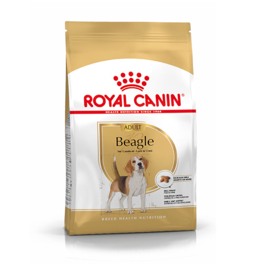 12 kg Royal Canin Adult Beagle ra&ccedil;&atilde;o para c&atilde;es, , large Imagem n&uacute;mero 1