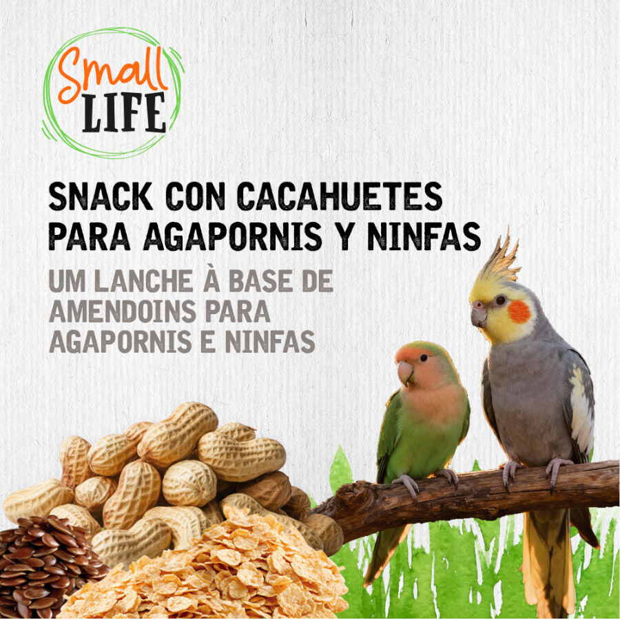 2 barritas Small Life Barritas Snack com Amendoins para agapornis e caturras, , large Imagem n&uacute;mero 4