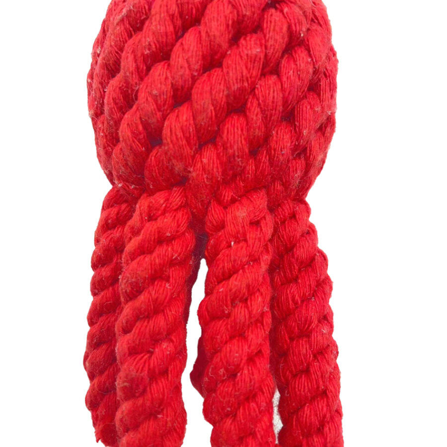 Tootoy! Comfort Octopus & Sea brinquedo com corda para c&atilde;es, , large Imagem n&uacute;mero 3