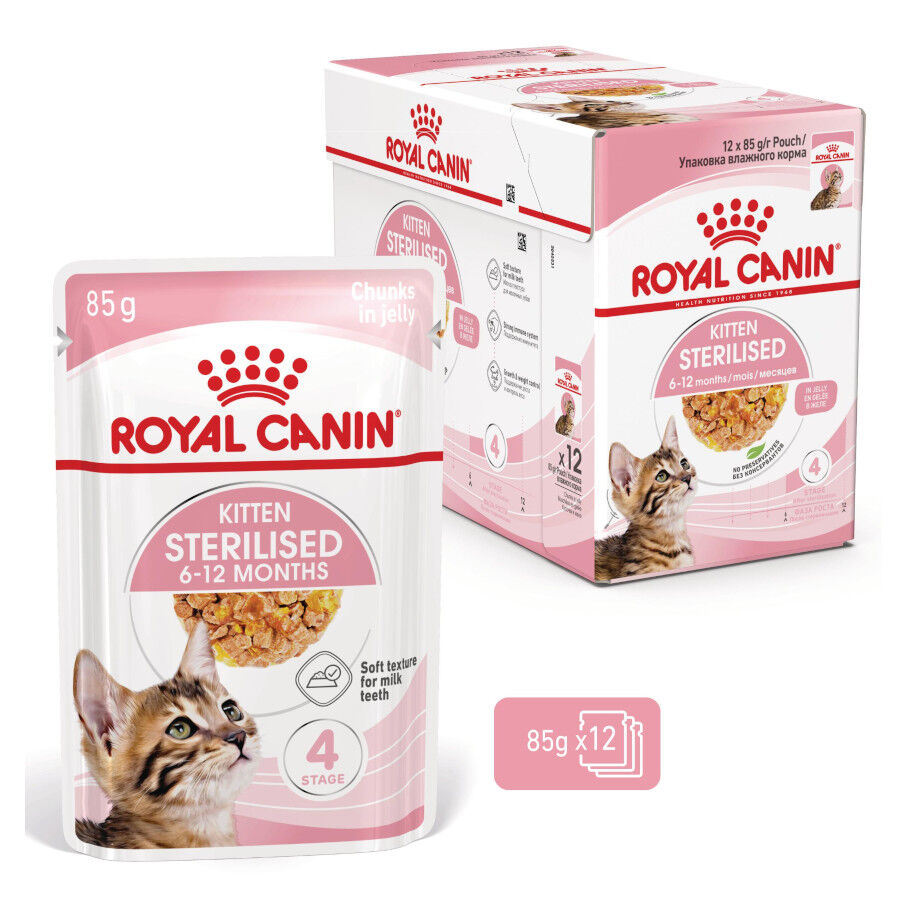12 saquetas x 85 g Royal Canin Kitten Sterilised Saquetas de Gelatina para gatinhos Pack poupan&ccedil;a!, , large Imagem n&uacute;mero 1