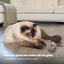 Outward Hound Catstages Squeaky Squeaky Gris Rato com Catnip para gatos, , large Indicador imagem número 2