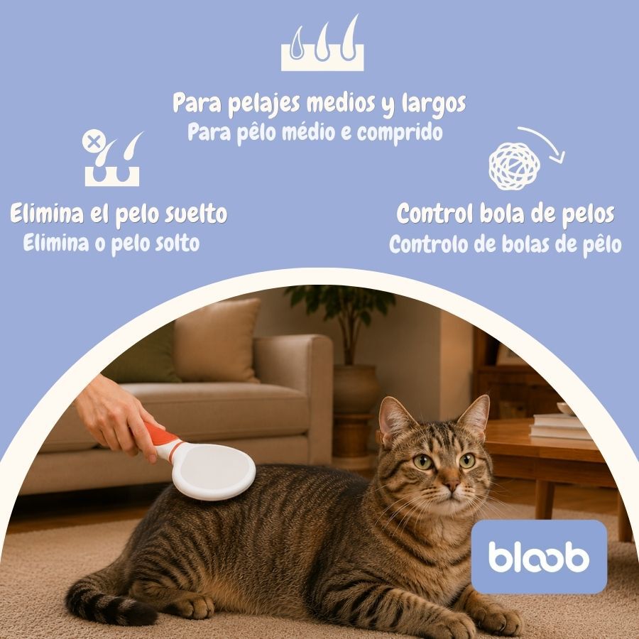 Bloob Escova cardadeira para gatos, , large Imagem n&uacute;mero 3