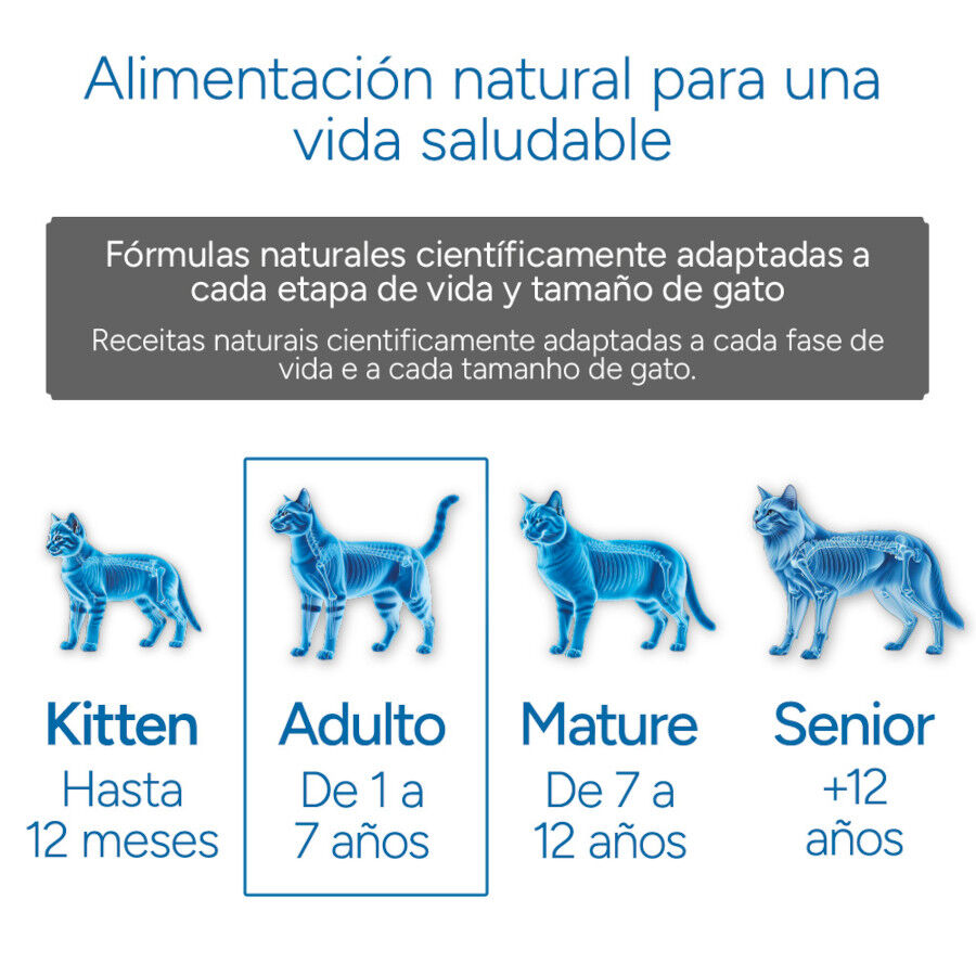 Criadores Cient&iacute;fico Adulto Esterilizado Ra&ccedil;&atilde;o de peixe para gatos, , large Imagem n&uacute;mero 11