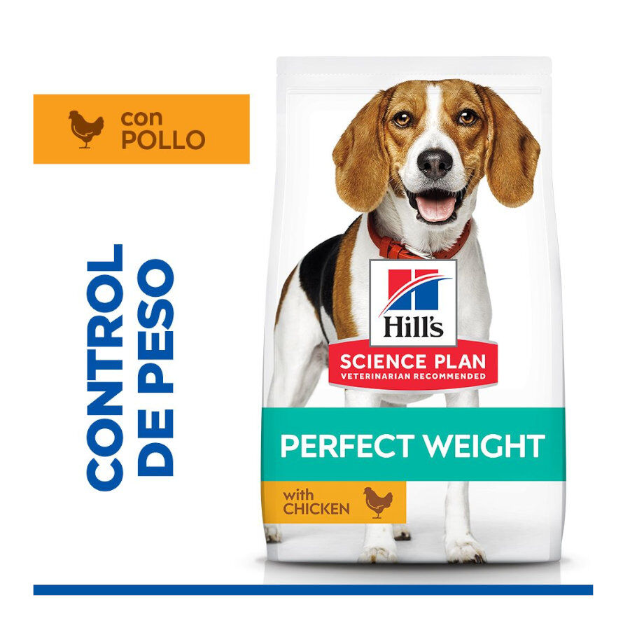 12 kg Hill's Science Plan Perfect Weight Adult Medium Frango ra&ccedil;&atilde;o para c&atilde;es, , large Imagem n&uacute;mero 2