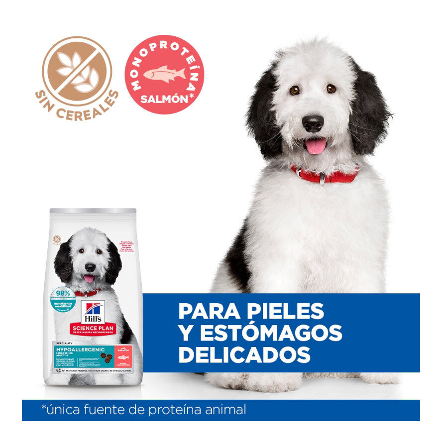 14 kg Hill's Science Plan Hipoalerg&eacute;nico Large Salm&atilde;o ra&ccedil;&atilde;o para c&atilde;es, , large Imagem n&uacute;mero 5