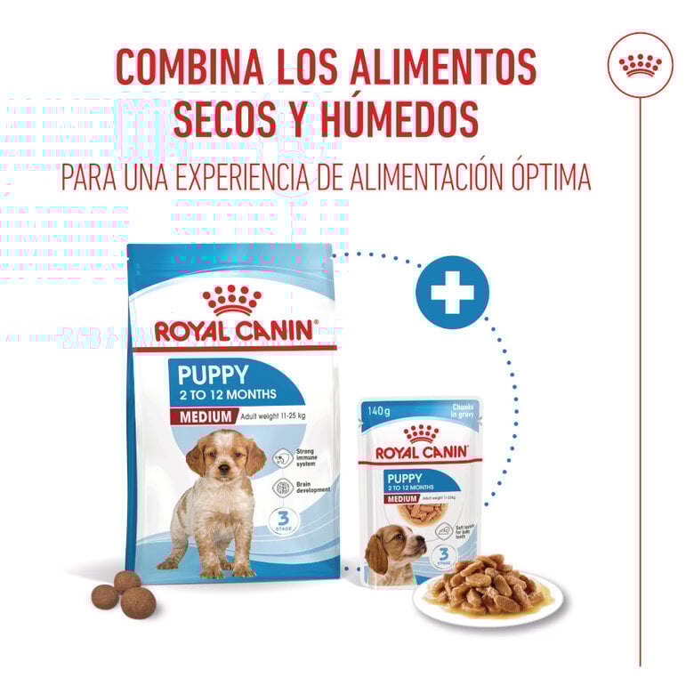 15 kg Royal Canin Puppy Medium ração para cães,  Imagem número 6 15 kg Royal Canin Puppy Medium ração para cães, , large Imagem número 6