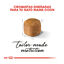 10 kg Royal Canin Kitten Maine Coon ração para gatinhos, , large Indicador imagem número 5