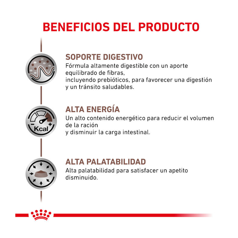 12 saquetas x 85 g Royal Canin Veterinary Gastrointestinal saqueta em molho para gatos,  Imagem número 4 12 saquetas x 85 g Royal Canin Veterinary Gastrointestinal saqueta em molho para gatos, , large Imagem número 4