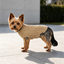 Gotoo Camisola de Malha Castanha para c&atilde;es, , large Indicador imagem n&uacute;mero 1